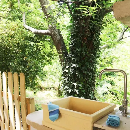Il Giardino - Castagno