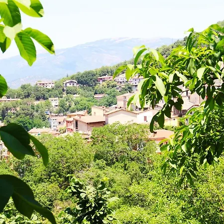 Il Giardino - Castagno