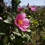 Il Giardino - Castagno * Aritzo