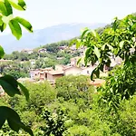 Il Giardino - Castagno