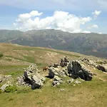 Il Giardino - Castagno