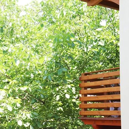 Casa Vacanze Il Giardino - Castagno * Aritzo